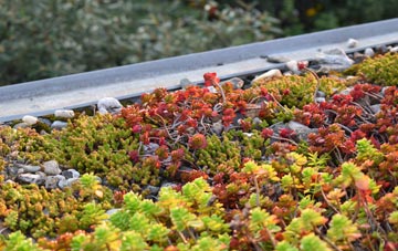 the cost of Whyke green roof installation
