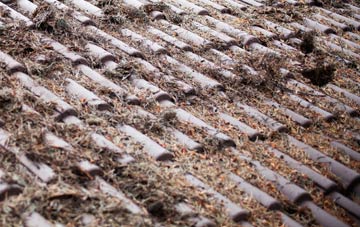 Whyke roof cleaning companies