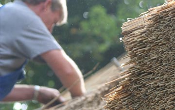 professional Whyke thatchers