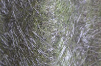 Whyke fibreglass roof work